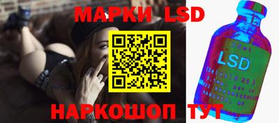 МДПВ Бердск