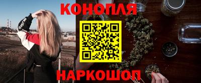 МДПВ Бердск