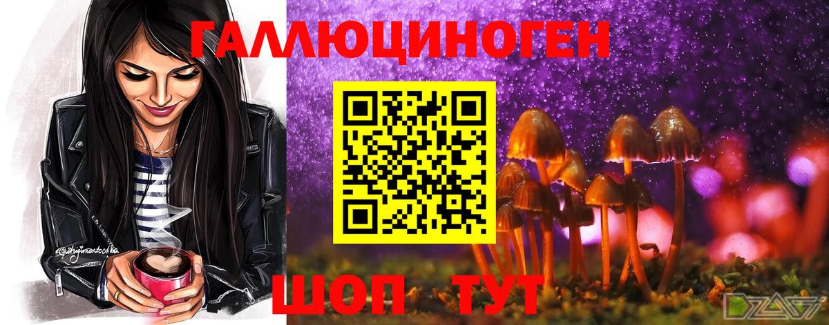 Брянск  Псилоцибиновые грибы MAGIC MUSHROOMS  Псилоцибиновые грибы Magic Shrooms  Вход с VPN 
