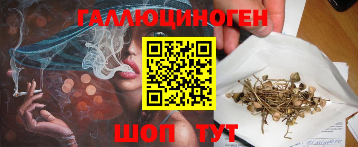 Псилоцибиновые грибы мицелий Брянск